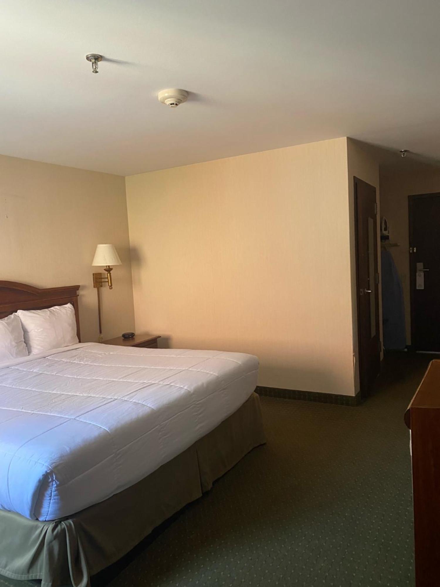 Pottsville Hotel Dış mekan fotoğraf